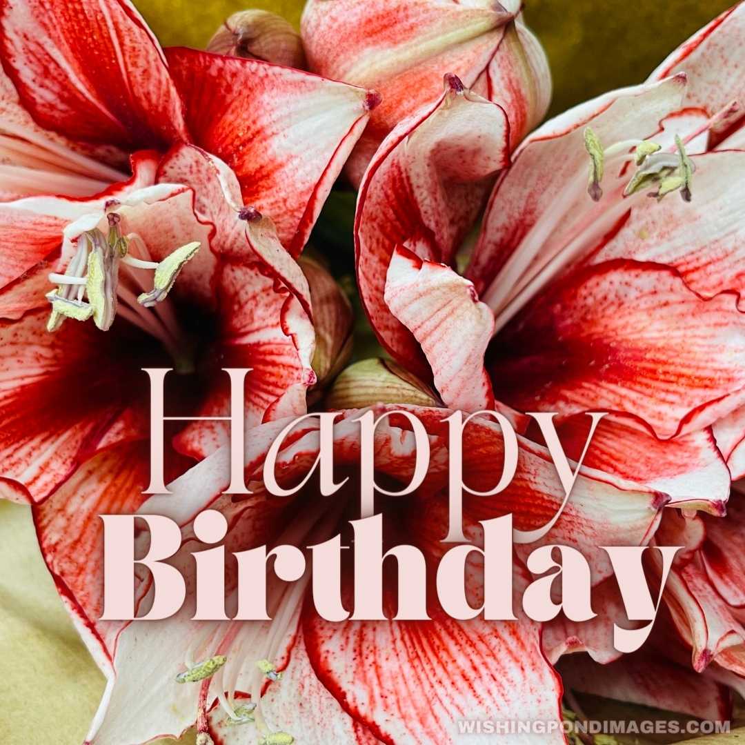 Close up beautiful fresh flowers - Happy Birthday Flower Images